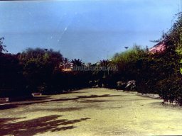 Mula Antigua serie-2